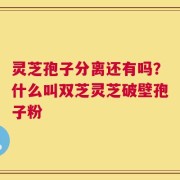 灵芝孢子分离还有吗？什么叫双芝灵芝破壁孢子粉