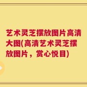 艺术灵芝摆放图片高清大图(高清艺术灵芝摆放图片，赏心悦目)
