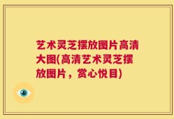 艺术灵芝摆放图片高清大图(高清艺术灵芝摆放图片，赏心悦目)