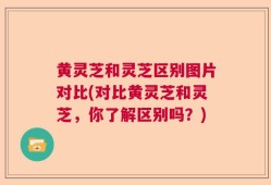 黄灵芝和灵芝区别图片对比(对比黄灵芝和灵芝，你了解区别吗？)