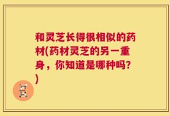 和灵芝长得很相似的药材(药材灵芝的另一重身，你知道是哪种吗？)
