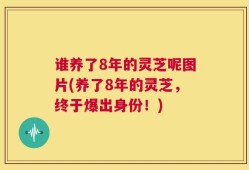 谁养了8年的灵芝呢图片(养了8年的灵芝，终于爆出身份！)