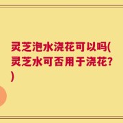 灵芝泡水浇花可以吗(灵芝水可否用于浇花？)