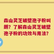 森山灵芝破壁孢子粉叫朗？了解森山灵芝破壁孢子粉的功效与用法？