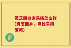 灵芝回老家采摘怎么样(灵芝回乡，寻找采摘宝藏)