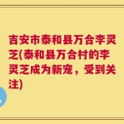 吉安市泰和县万合李灵芝(泰和县万合村的李灵芝成为新宠，受到关注)