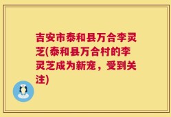 吉安市泰和县万合李灵芝(泰和县万合村的李灵芝成为新宠，受到关注)