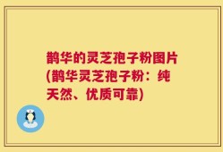 鹊华的灵芝孢子粉图片(鹊华灵芝孢子粉：纯天然、优质可靠)
