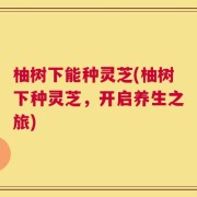 柚树下能种灵芝(柚树下种灵芝，开启养生之旅)