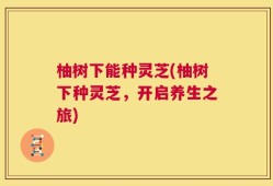 柚树下能种灵芝(柚树下种灵芝，开启养生之旅)