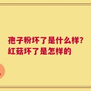 孢子粉坏了是什么样？红菇坏了是怎样的