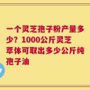 一个灵芝孢子粉产量多少？1000公斤灵芝萃体可取出多少公斤纯孢子油
