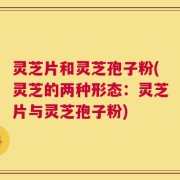 灵芝片和灵芝孢子粉(灵芝的两种形态：灵芝片与灵芝孢子粉)