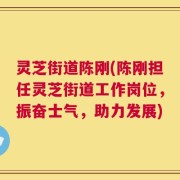 灵芝街道陈刚(陈刚担任灵芝街道工作岗位，振奋士气，助力发展)