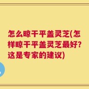 怎么晾干平盖灵芝(怎样晾干平盖灵芝最好？这是专家的建议)