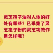 灵芝孢子油对人体的好处有哪些？已采集了灵芝孢子粉的灵芝功效作用怎样呢？