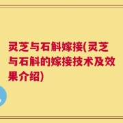 灵芝与石斛嫁接(灵芝与石斛的嫁接技术及效果介绍)