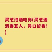 灵芝泡酒呛鼻(灵芝酒清香宜人，鼻口留香！)
