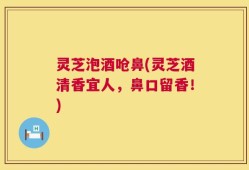 灵芝泡酒呛鼻(灵芝酒清香宜人，鼻口留香！)