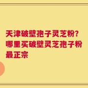 天津破壁孢子灵芝粉？哪里买破壁灵芝孢子粉最正宗