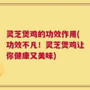 灵芝煲鸡的功效作用(功效不凡！灵芝煲鸡让你健康又美味)