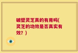 破壁灵芝真的有用吗(灵芝的功效是否真实有效？)