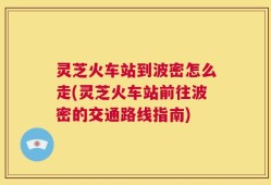 灵芝火车站到波密怎么走(灵芝火车站前往波密的交通路线指南)