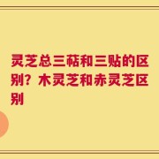 灵芝总三萜和三贴的区别？木灵芝和赤灵芝区别