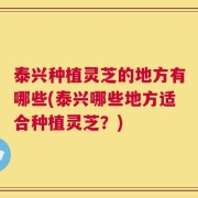 泰兴种植灵芝的地方有哪些(泰兴哪些地方适合种植灵芝？)