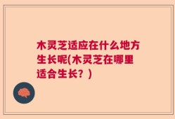 木灵芝适应在什么地方生长呢(木灵芝在哪里适合生长？)