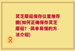 灵芝蘑菇保存位置推荐图(如何正确保存灵芝蘑菇？-简单易懂的方法介绍)