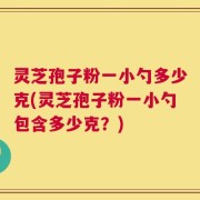 灵芝孢子粉一小勺多少克(灵芝孢子粉一小勺包含多少克？)