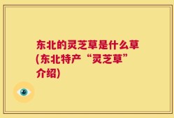东北的灵芝草是什么草(东北特产“灵芝草”介绍)