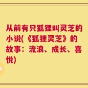 从前有只狐狸叫灵芝的小说(《狐狸灵芝》的故事：流浪、成长、喜悦)
