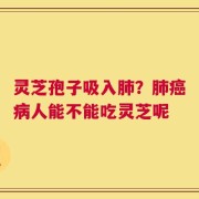 灵芝孢子吸入肺？肺癌病人能不能吃灵芝呢