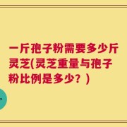 一斤孢子粉需要多少斤灵芝(灵芝重量与孢子粉比例是多少？)