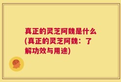 真正的灵芝阿魏是什么(真正的灵芝阿魏：了解功效与用途)