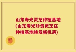 山东寿光灵芝种植基地(山东寿光珍贵灵芝在种植基地焕发新机遇)