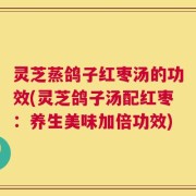 灵芝蒸鸽子红枣汤的功效(灵芝鸽子汤配红枣：养生美味加倍功效)
