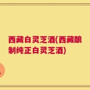 西藏白灵芝酒(西藏酿制纯正白灵芝酒)