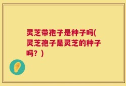 灵芝带孢子是种子吗(灵芝孢子是灵芝的种子吗？)