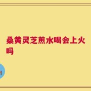 桑黄灵芝煎水喝会上火吗
