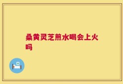 桑黄灵芝煎水喝会上火吗