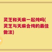 灵芝和天麻一起炖吗(灵芝与天麻合炖的最佳做法)