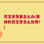 灵芝芽发黑怎么办(黑掉的灵芝芽怎么处理？)