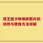 灵芝孢子粉喷粉照片的功效与使用方法详解