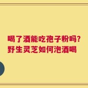 喝了酒能吃孢子粉吗？野生灵芝如何泡酒喝