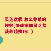 灵芝盆栽 怎么养殖的视频(快速掌握灵芝盆栽养殖技巧！)