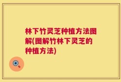 林下竹灵芝种植方法图解(图解竹林下灵芝的种植方法)