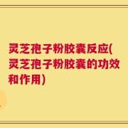 灵芝孢子粉胶囊反应(灵芝孢子粉胶囊的功效和作用)